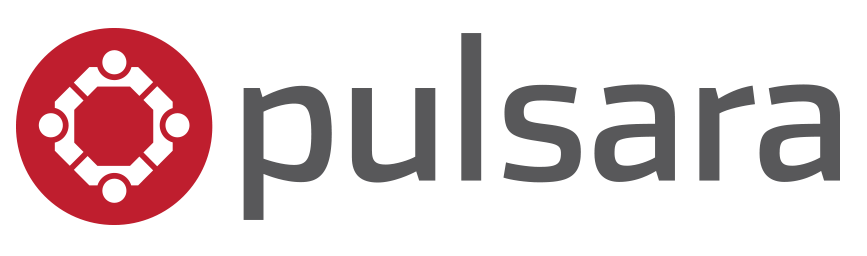 Pulsara-Logo